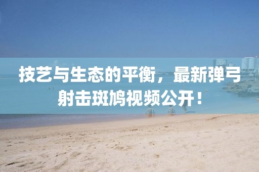 技艺与生态的平衡，最新弹弓射击斑鸠视频公开！