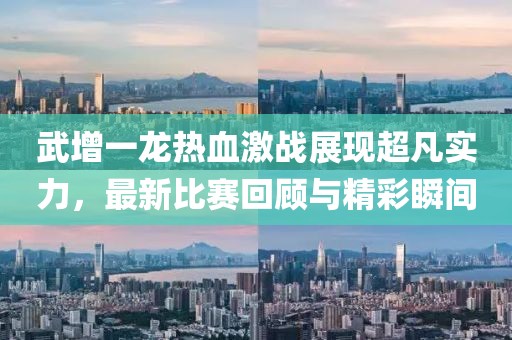 武增一龙热血激战展现超凡实力，最新比赛回顾与精彩瞬间