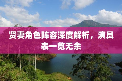 贤妻角色阵容深度解析，演员表一览无余