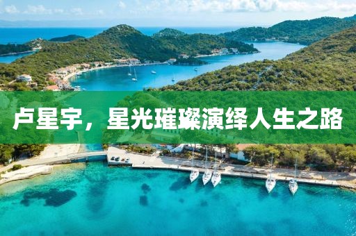 卢星宇，星光璀璨演绎人生之路