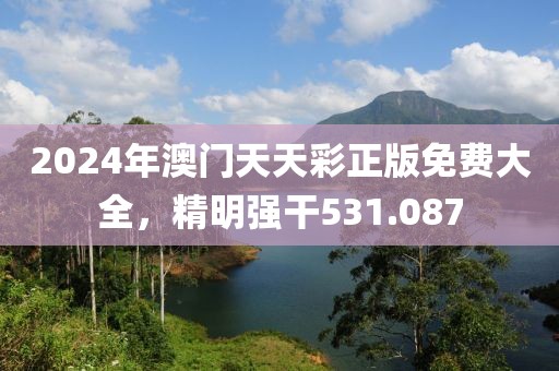 2024年澳门天天彩正版免费大全，精明强干531.087