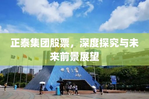 正泰集团股票，深度探究与未来前景展望