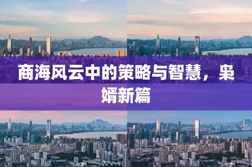 商海风云中的策略与智慧，枭婿新篇