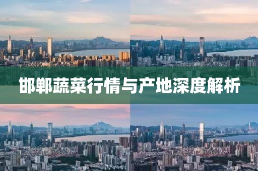 邯郸蔬菜行情与产地深度解析