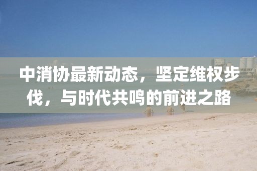 中消协最新动态，坚定维权步伐，与时代共鸣的前进之路