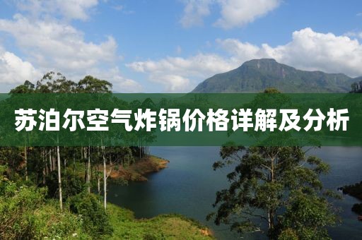 苏泊尔空气炸锅价格详解及分析