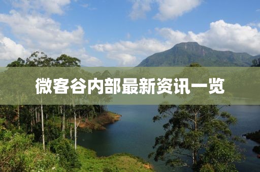 微客谷内部最新资讯一览