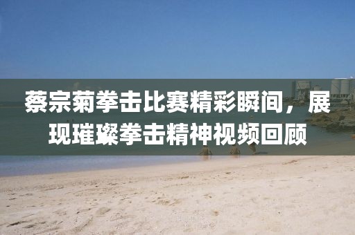 蔡宗菊拳击比赛精彩瞬间，展现璀璨拳击精神视频回顾