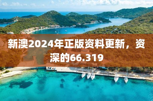 新澳2024年正版资料更新，资深的66.319