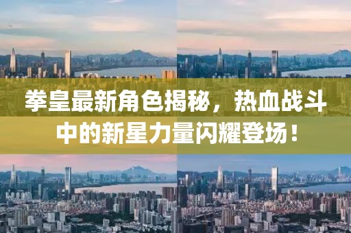 拳皇最新角色揭秘，热血战斗中的新星力量闪耀登场！