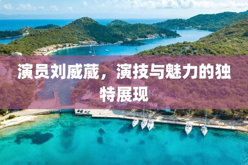 演员刘威葳，演技与魅力的独特展现