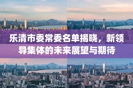 乐清市委常委名单揭晓，新领导集体的未来展望与期待