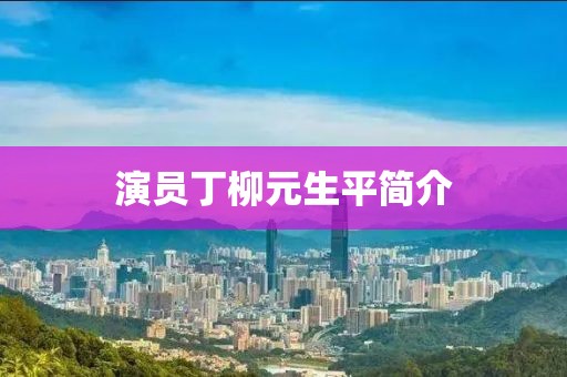 演员丁柳元生平简介
