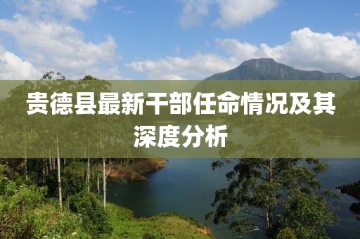 贵德县最新干部任命情况及其深度分析