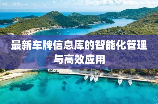最新车牌信息库的智能化管理与高效应用