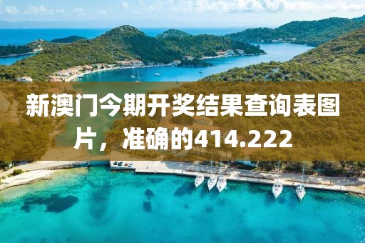新澳门今期开奖结果查询表图片，准确的414.222