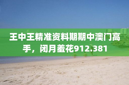 王中王精准资料期期中澳门高手，闭月羞花912.381
