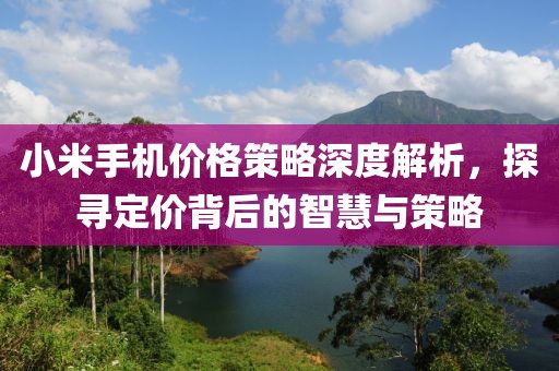小米手机价格策略深度解析，探寻定价背后的智慧与策略