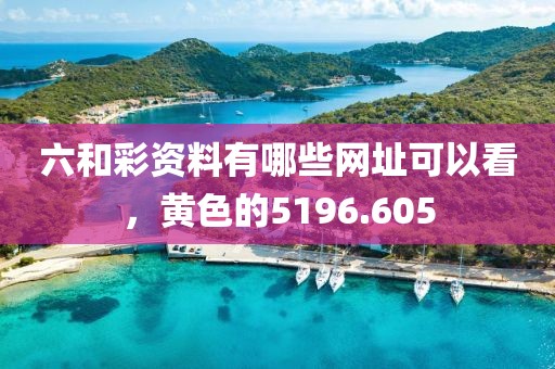 六和彩资料有哪些网址可以看，黄色的5196.605
