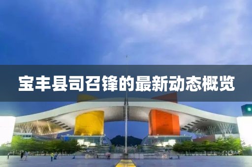 宝丰县司召锋的最新动态概览
