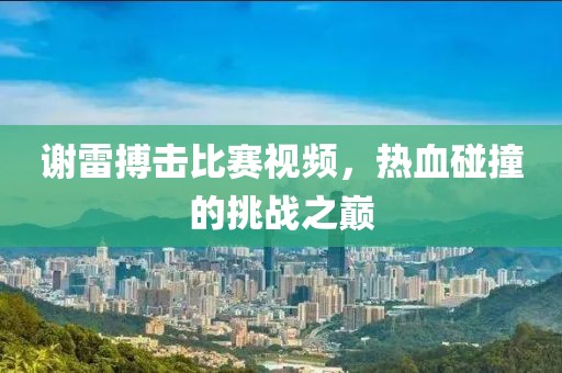 谢雷搏击比赛视频，热血碰撞的挑战之巅
