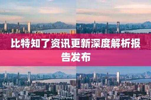 比特知了资讯更新深度解析报告发布