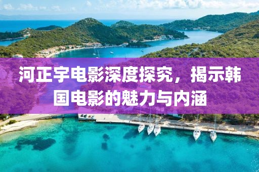 河正宇电影深度探究，揭示韩国电影的魅力与内涵