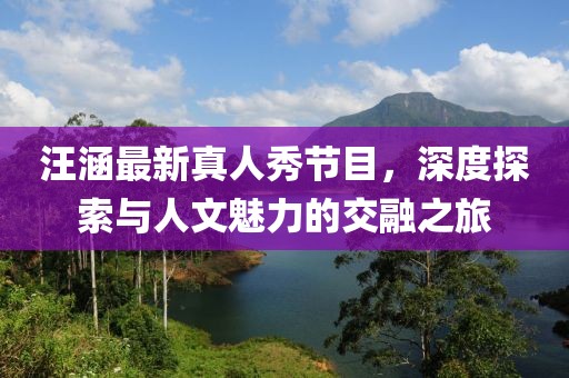 汪涵最新真人秀节目，深度探索与人文魅力的交融之旅