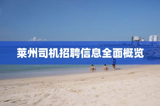莱州司机招聘信息全面概览