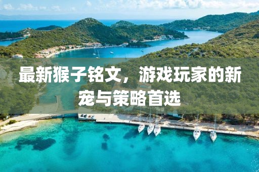 最新猴子铭文，游戏玩家的新宠与策略首选