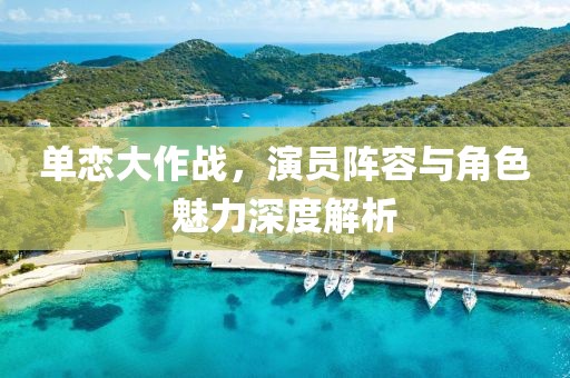 单恋大作战，演员阵容与角色魅力深度解析