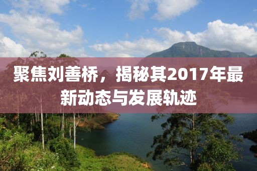 聚焦刘善桥，揭秘其2017年最新动态与发展轨迹
