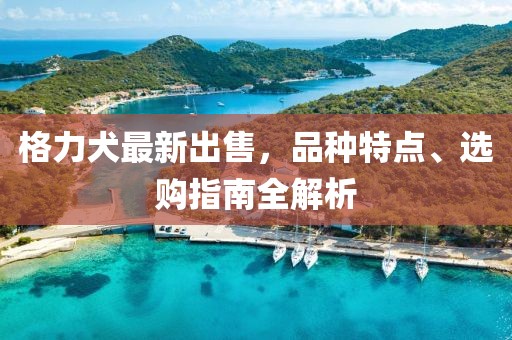 格力犬最新出售，品种特点、选购指南全解析