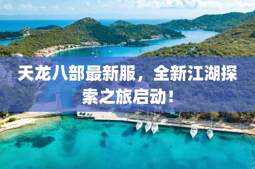天龙八部最新服，全新江湖探索之旅启动！