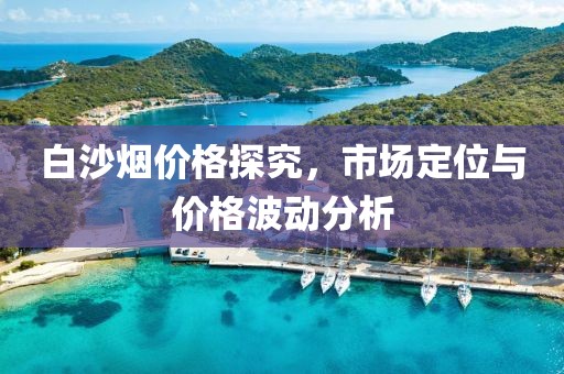 白沙烟价格探究，市场定位与价格波动分析