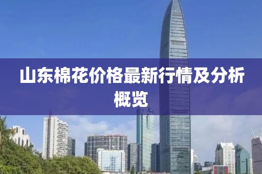 山东棉花价格最新行情及分析概览