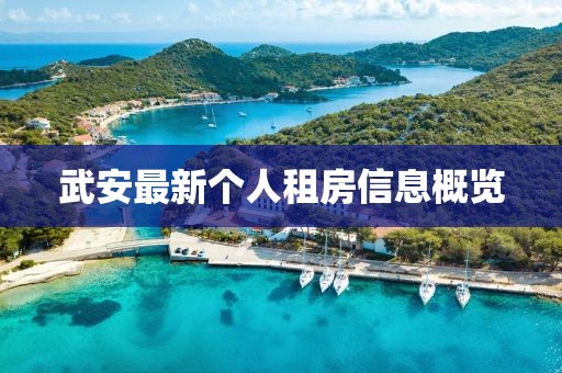 武安最新个人租房信息概览