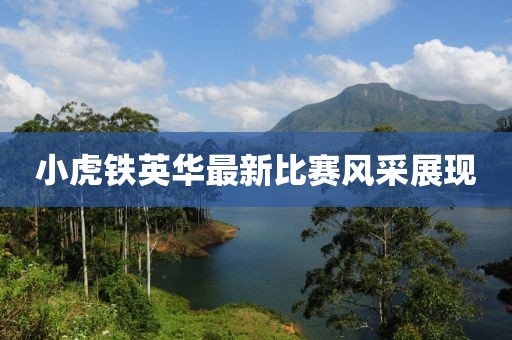 小虎铁英华最新比赛风采展现