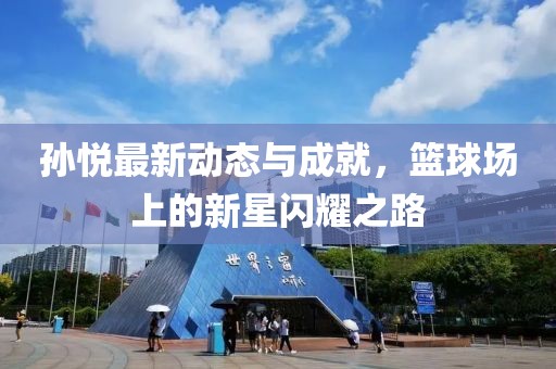 孙悦最新动态与成就，篮球场上的新星闪耀之路