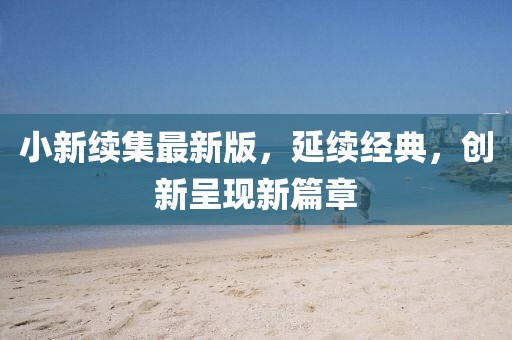 小新续集最新版，延续经典，创新呈现新篇章