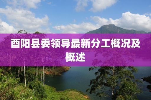 酉阳县委领导最新分工概况及概述