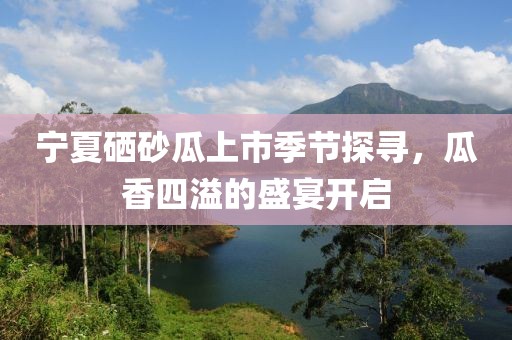 宁夏硒砂瓜上市季节探寻，瓜香四溢的盛宴开启
