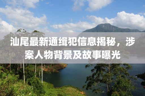 汕尾最新通缉犯信息揭秘，涉案人物背景及故事曝光