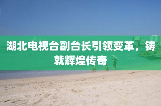湖北电视台副台长引领变革，铸就辉煌传奇