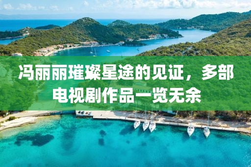 冯丽丽璀璨星途的见证，多部电视剧作品一览无余