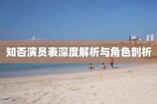 知否演员表深度解析与角色剖析