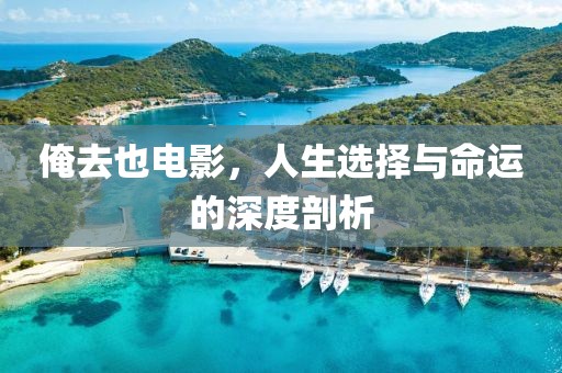 俺去也电影，人生选择与命运的深度剖析