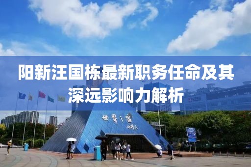 阳新汪国栋最新职务任命及其深远影响力解析