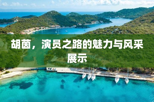 胡茵，演员之路的魅力与风采展示