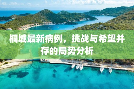 桐城最新病例，挑战与希望并存的局势分析